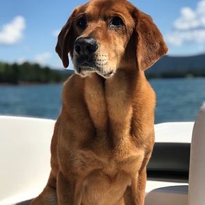 Meet your Posher, Beth